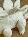 Іграшка Динозавр Стегозавр для розфарбовування 3Dpri15 фото 7