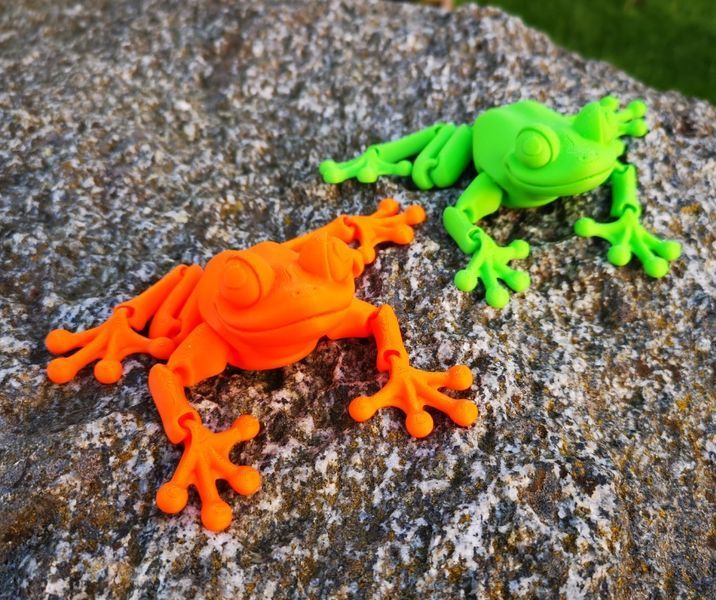 Рухливе жабеня 3D іграшка 3Dtoy31 фото