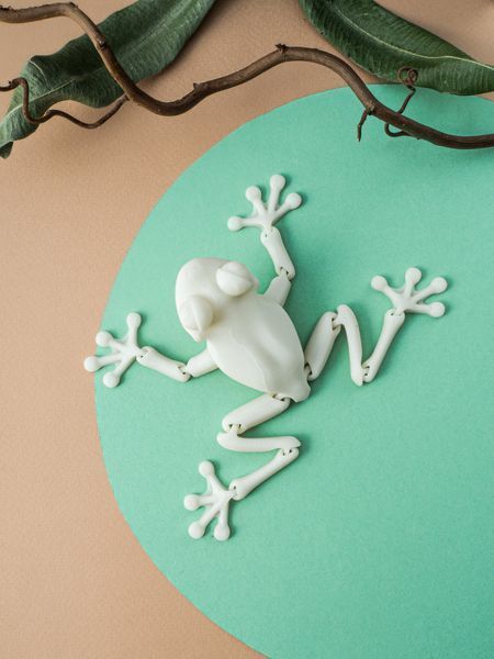 Игрушка Лягушка подвижная для раскрашивания 3Dpri03 фото