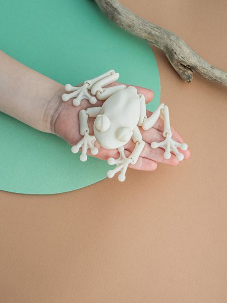 Игрушка Лягушка подвижная для раскрашивания 3Dpri03 фото