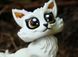 Лиса игрушка антистресс 3D 3Dtoy16 фото 6