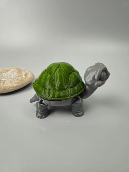 Черепаха подвижная 3D игрушка 12см 3Dtoy58 фото